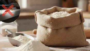 Ni jaki otrovi ni skupi proizvodi: Mješavina s brašnom za uklanjanje žohara iz kuhinje