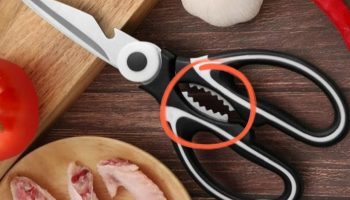 Malo tko zna: Čemu služe ovi zupci na kuhinjskim škarama?