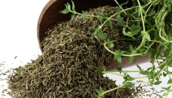 Ovo je idealan dodatak mesu. Sve češće menja majčinu dušicu i majoran. Ima jedinstven ukus.