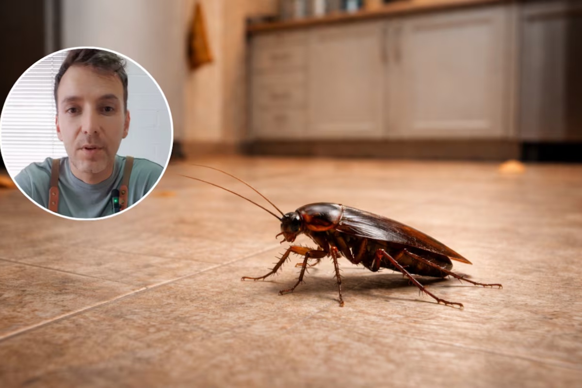 Dijego Fernandez, hemijski inženjer: „Insekticid ne pomaže protiv bubašvaba, bolja je borna kiselina“