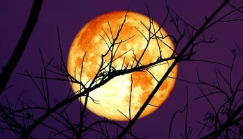 Asteroid koji je pretio Zemlji uskoro bi mogao da udari u Mesec, kažu naučnici