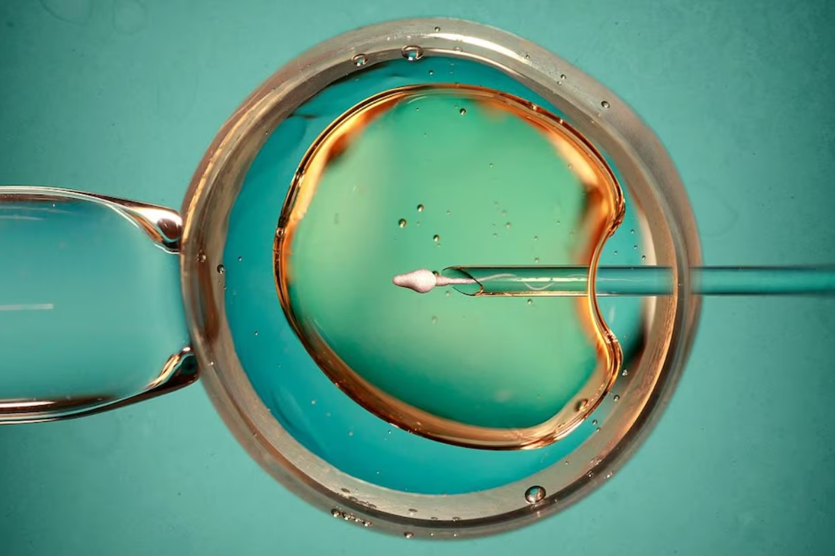 "Prirodna" opcija za VTO podjednako je efikasna za rađanje zdravih beba, pokazuje studija