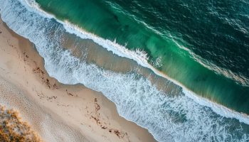 Ključna uloga okeanskih frontova u borbi protiv klimatskih promena: apsorbuju 72% morskog ugljen-dioksida, tvrdi studija