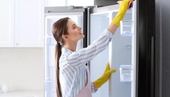 Kako očistiti gumu na vratima frižidera. Obratite pažnju na ove savete.