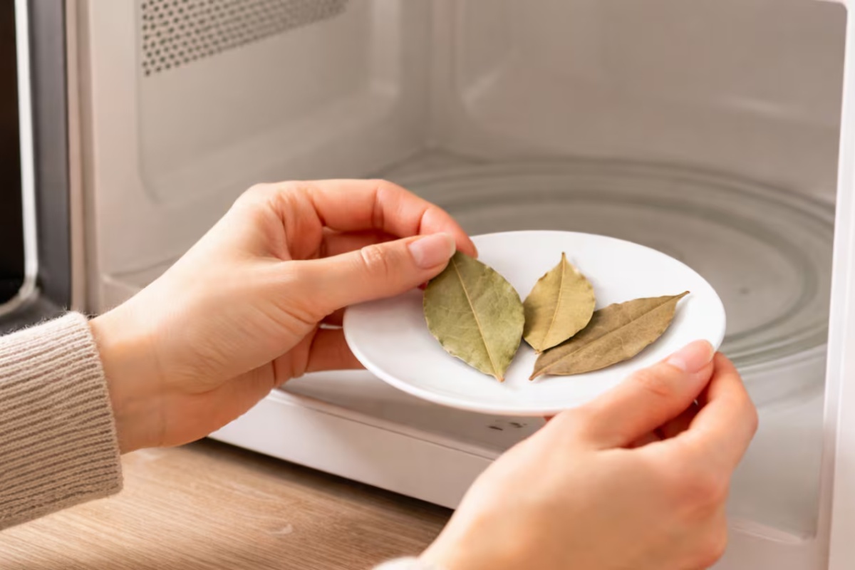 Stavljanje nekoliko listića lovora u mikrotalasnu: čemu služi i koliko često to raditi