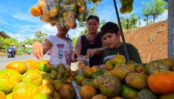 Majka i njeni sinovi grade budućnost prodajući pomorandže pored puta