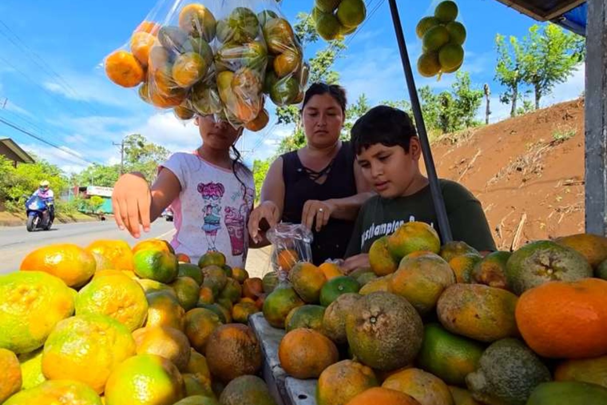 Majka i njeni sinovi grade budućnost prodajući pomorandže pored puta