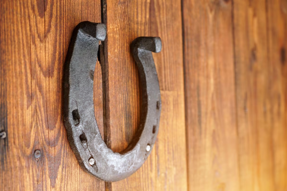 Nije samo dekoracija: šta znači postaviti potkovicu na vrata kuće