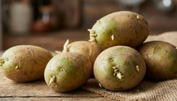 Zeleni krompir je vaš neprijatelj: zašto ga ne smete jesti i kako to utiče na vaše zdravlje?