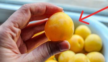 Ovaj trik me je naučila mama i on je ključ za uštedu na hrani svakog meseca