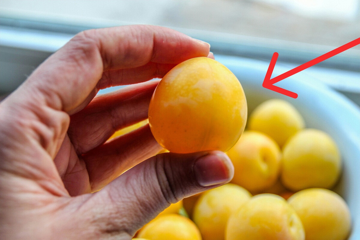 Ovaj trik me je naučila mama i on je ključ za uštedu na hrani svakog meseca