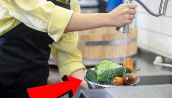 Zašto nikada ne bi trebalo da perete voće i povrće deterdžentom za sudove, prema mišljenju stručnjaka