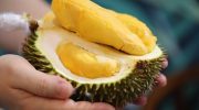 Najsmrdljivije voće na svetu prodaje se u Meksiku: Miris mu je toliko jak da je zabranjeno u hotelima i javnom prevozu