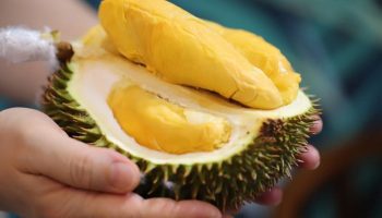 Najsmrdljivije voće na svetu prodaje se u Meksiku: Miris mu je toliko jak da je zabranjeno u hotelima i javnom prevozu