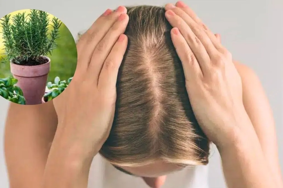 Kako sprečiti žensku alopeciju pomoću ruzmarina: efikasan domaći lek