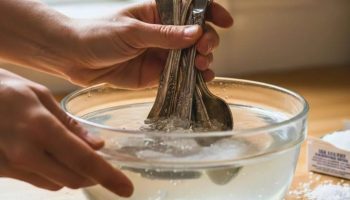 Potapanje escajga u so: Zašto se to preporučuje i koje su prednosti