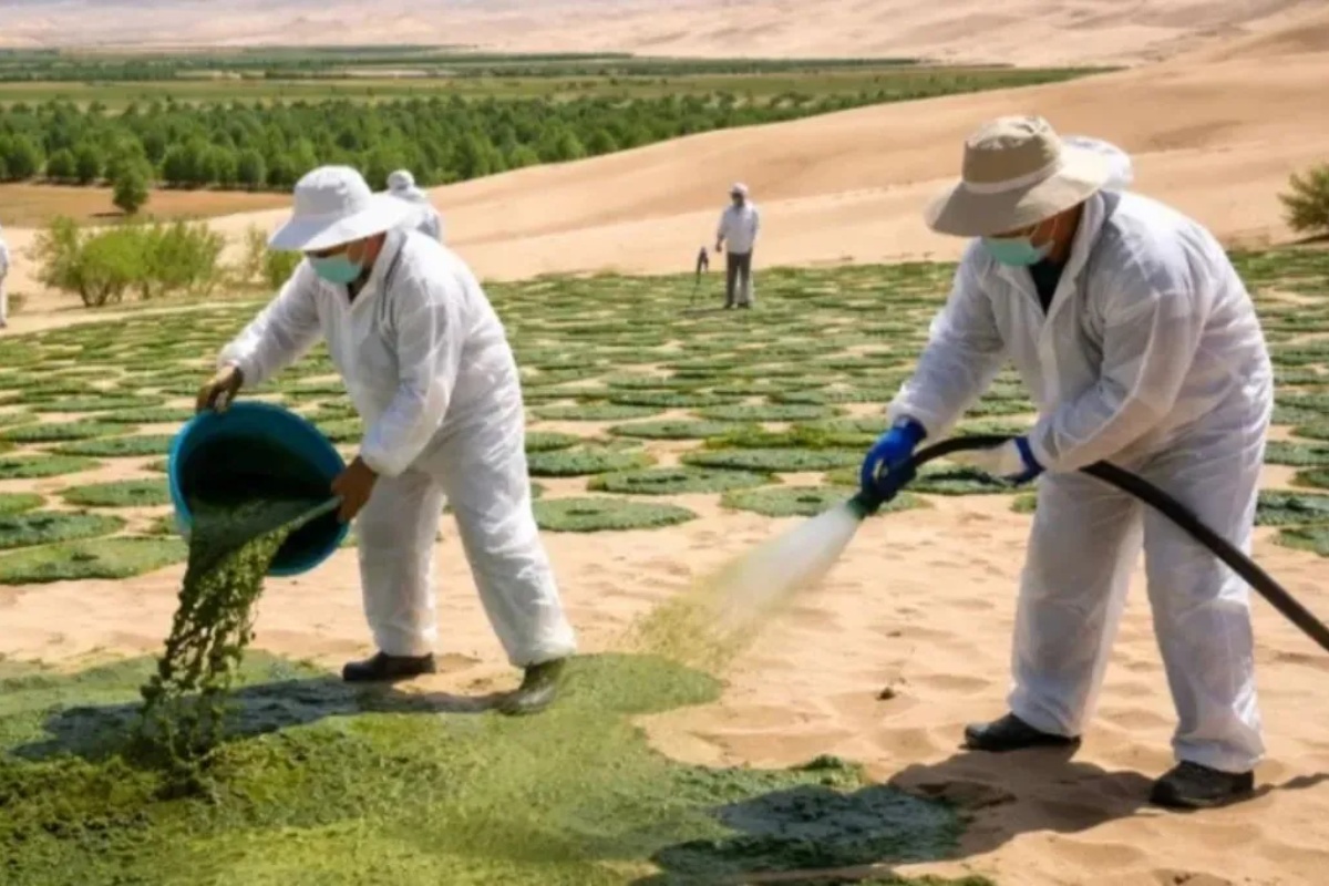 Kina pretvara pustinju u plodnu zemlju sejući organizme stare 3,5 milijardi godina