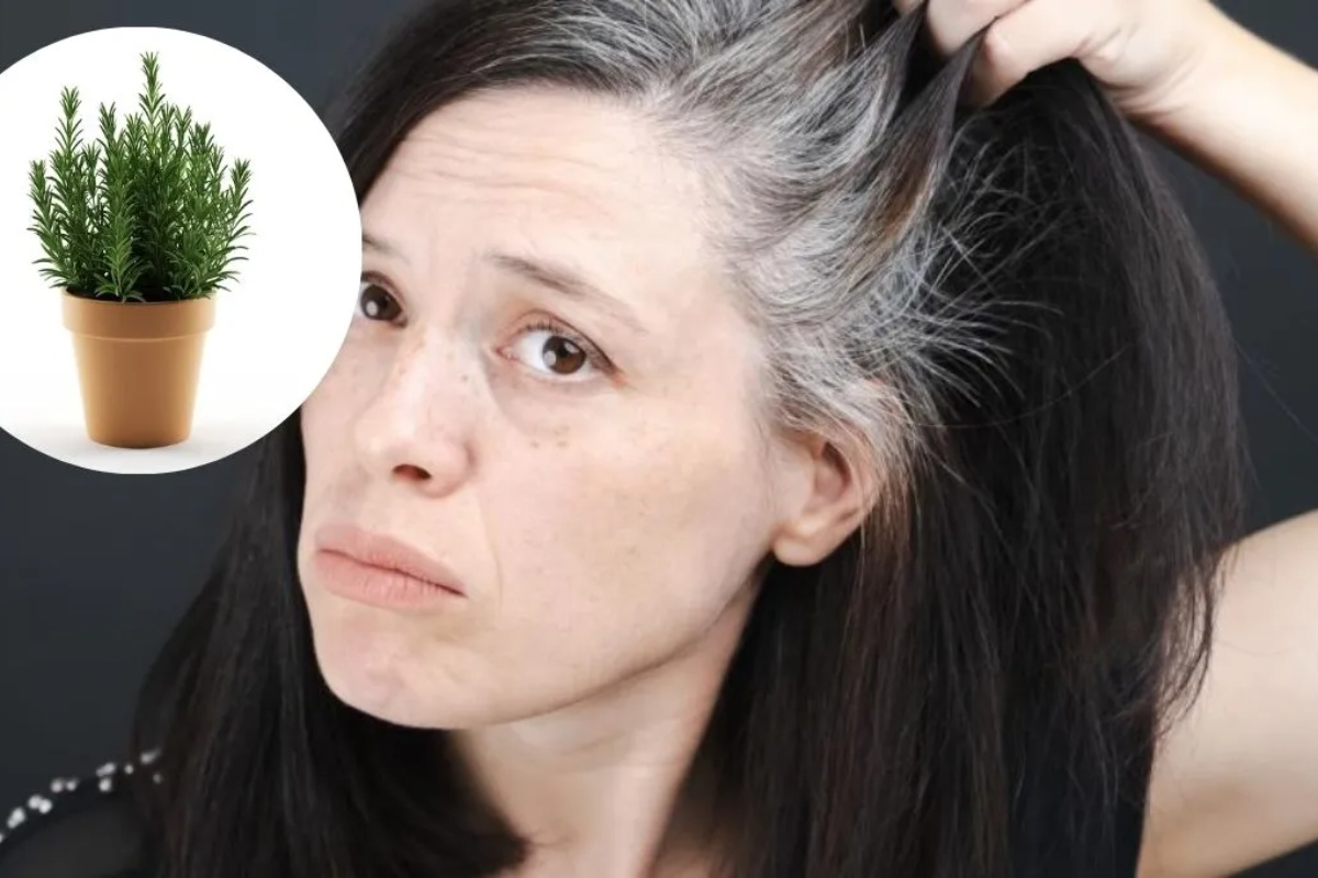 Bez farbi i hemikalija: kako koristiti ruzmarin za prikrivanje prvih sedih vlasi