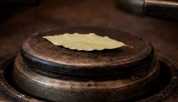 Stavite list lovora na ringlu: čemu služi i kada to treba uraditi