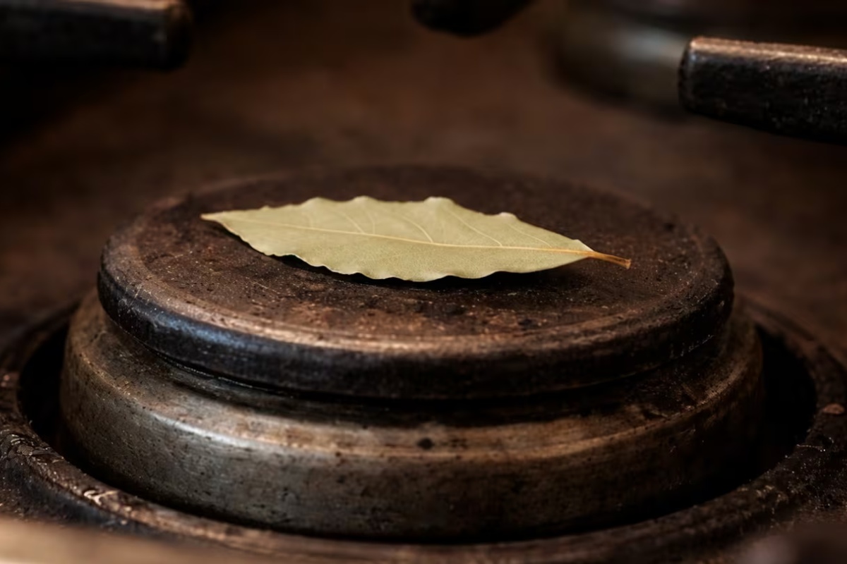 Stavite list lovora na ringlu: čemu služi i kada to treba uraditi