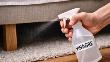 Čemu služi prskanje sirćeta ispod kreveta i zašto ga svi u Srbiji preporučuju