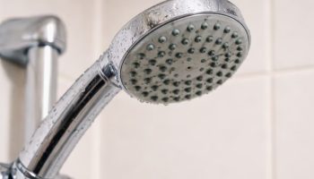 Ni izbeljivač ni deterdžent: kako očistiti glavu tuša za 5 minuta, prema rečima majstora