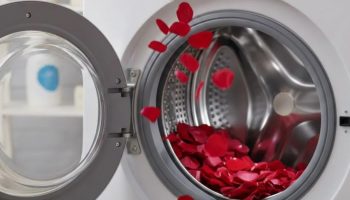 Stavljanje latica ruža u veš mašinu: zašto se to preporučuje i čemu služi