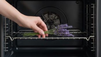 Stavljanje grančica lavande u rernu: čemu služi i koliko često to treba raditi