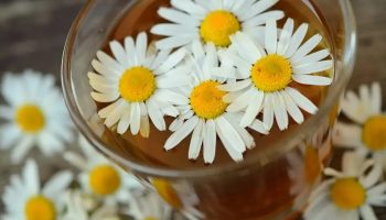 Neverovatne prednosti kamilice: Pomaže vam da smršate i bolje spavate
