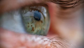 Fosil star 518 miliona godina otkriva da je daleki ljudski rođak imao četiri oka