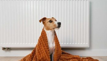 Uključivanje grejanja je sasvim u redu, ali da biste održali sobe toplim tokom cele noći, morate koristiti ova dva trika