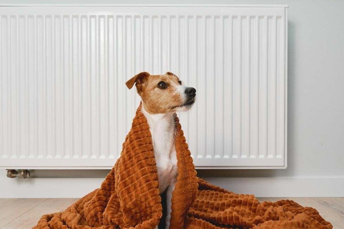 Uključivanje grejanja je sasvim u redu, ali da biste održali sobe toplim tokom cele noći, morate koristiti ova dva trika