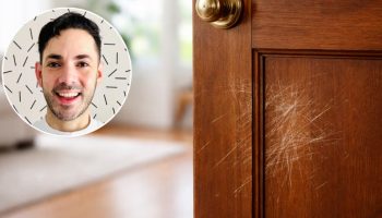 Gaston Vilijams, stručnjak za čišćenje: „Da biste uklonili ogrebotine na drvetu, pomešajte 50% sirćeta i 50% ulja“