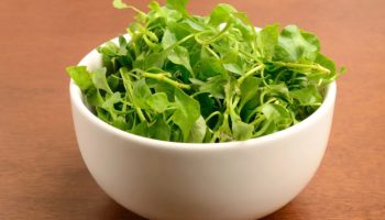 Potcenjena jer je još uvek malo poznata. Štiti jetru, srce i kosti, a za seniore bi trebalo da bude obavezna