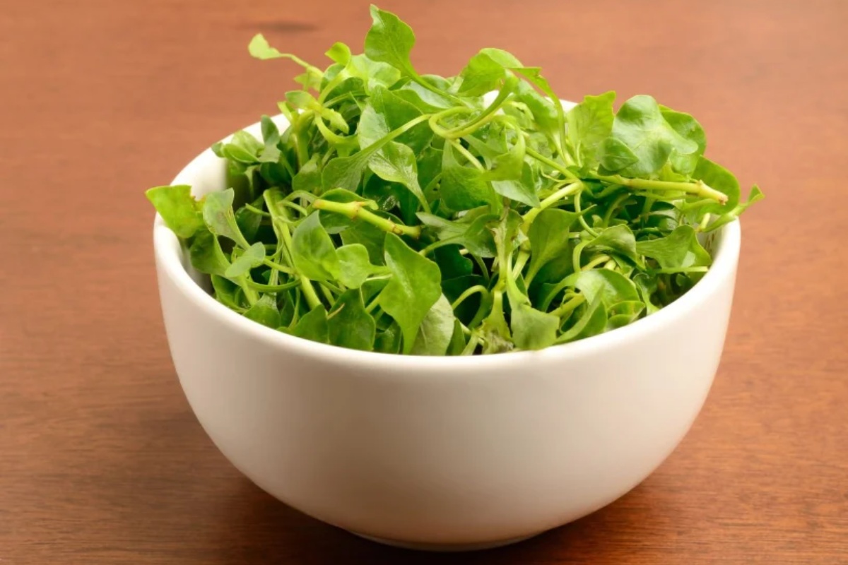 Potcenjena jer je još uvek malo poznata. Štiti jetru, srce i kosti, a za seniore bi trebalo da bude obavezna