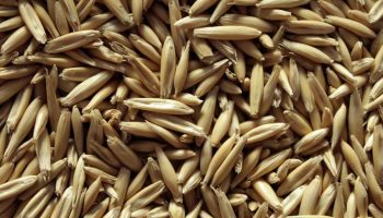 Ovo je sve popularnija alternativa peletu i uglju. Manje od 240 € po toni