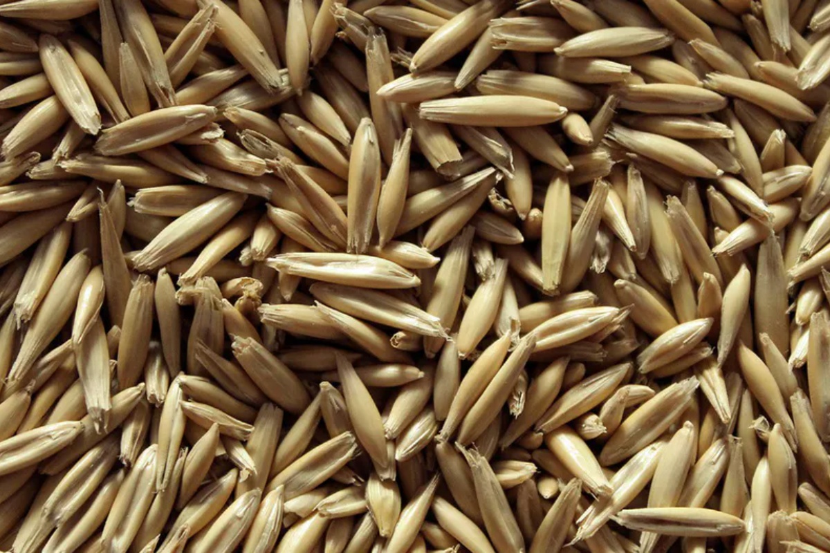 Ovo je sve popularnija alternativa peletu i uglju. Manje od 240 € po toni