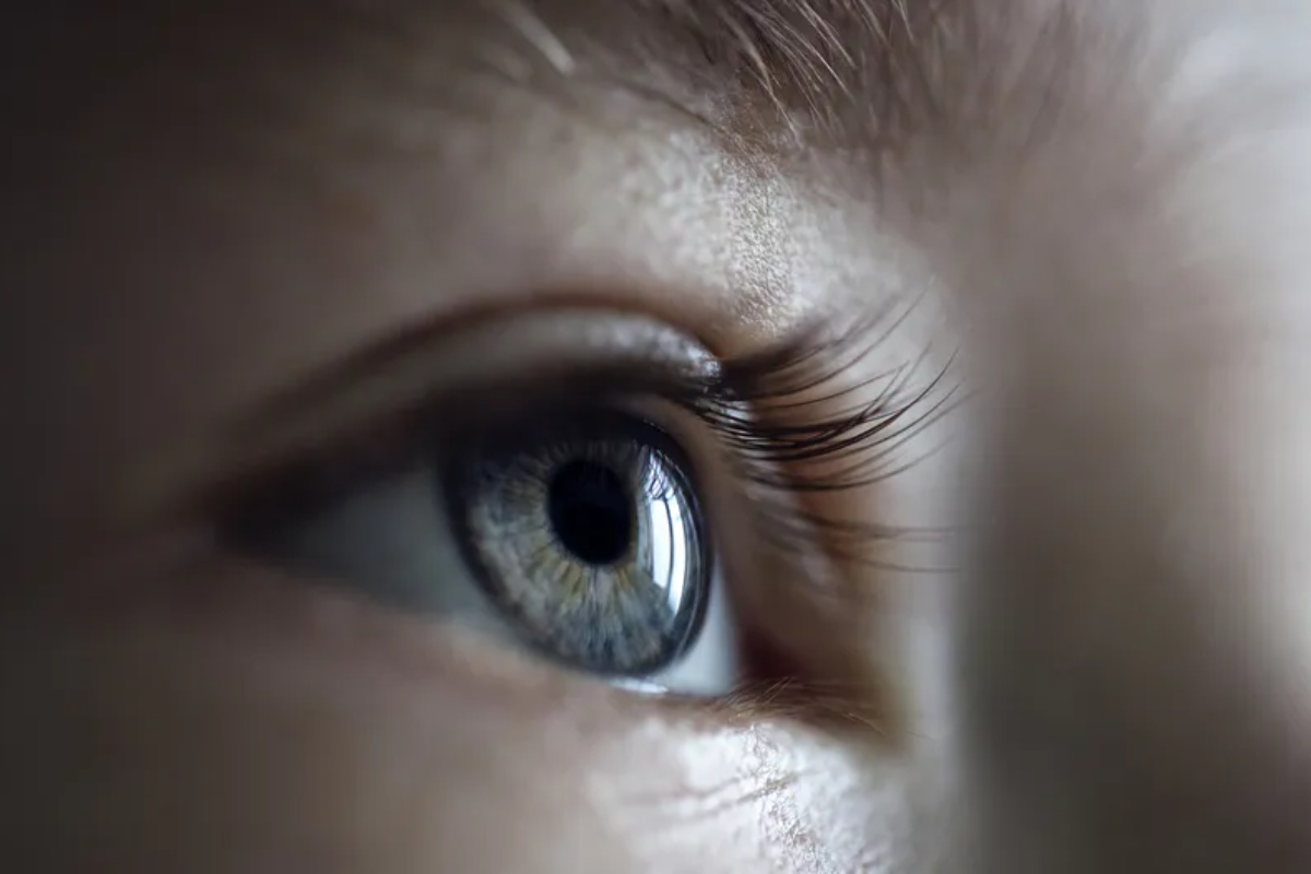 Može pomoći u lečenju bolesti očiju. Najnovije otkriće