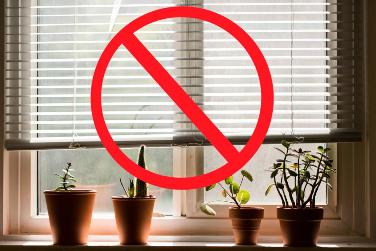 Zbogom plastičnim roletnama: novo rešenje za prozore koje je trend u 2026. godini