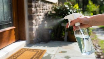 Čemu služi prskanje sirćeta na ulazni prag kuće