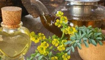 Kako koristiti rutu za čišćenje loše energije iz doma