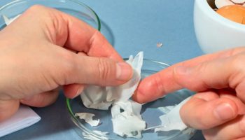 Ne bacajte ovaj deo ljuske jajeta i imaćete u rukama blago za svoju kožu