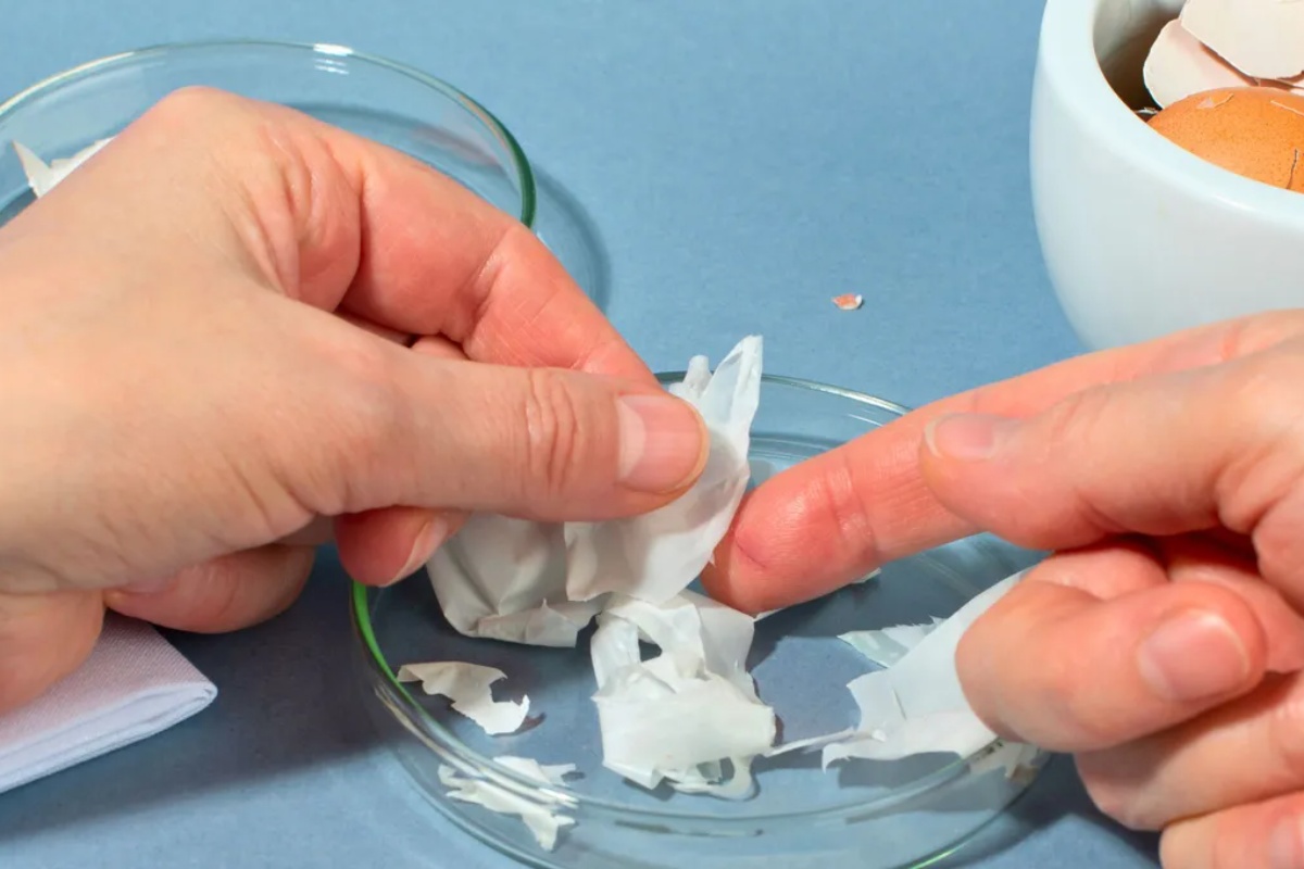 Ne bacajte ovaj deo ljuske jajeta i imaćete u rukama blago za svoju kožu