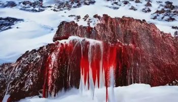 Studija odgonetnula misteriju: Zašto nastaju "Krvavi vodopadi" na Antarktiku