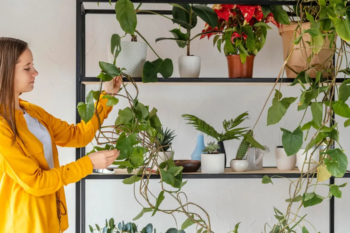 Biofilni dizajn: kako biljke i prirodni materijali poboljšavaju vaše mentalno zdravlje kod kuće