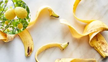 Kako oživeti suvi limun pomoću kora od banane: efikasno domaće đubrivo