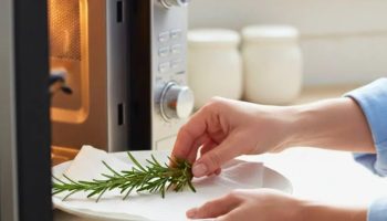 Stavljanje grančice ruzmarina u mikrotalasnu: zašto to preporučuju i čemu služi