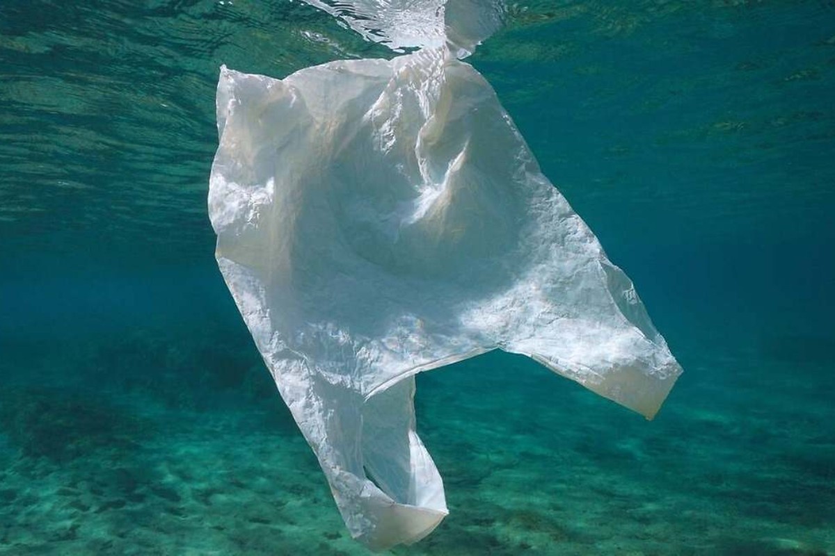 Naučnici smatraju da bi trebalo da prestanemo da čistimo plastiku iz okeana zbog ovog čudnog otkrića