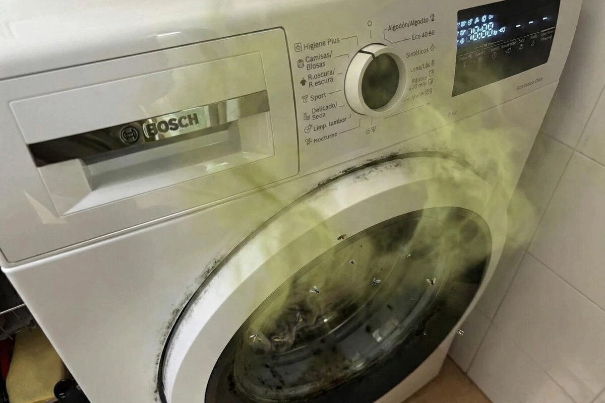 Koliko god omekšivača koristili, vaša mašina za veš bi mogla i dalje da smrdi: trik je iza ovih vratašca