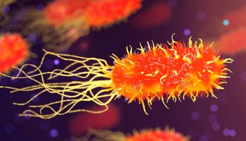 Sav život na Zemlji deli zajedničkog pretka, ali neki naši geni su stariji od njega